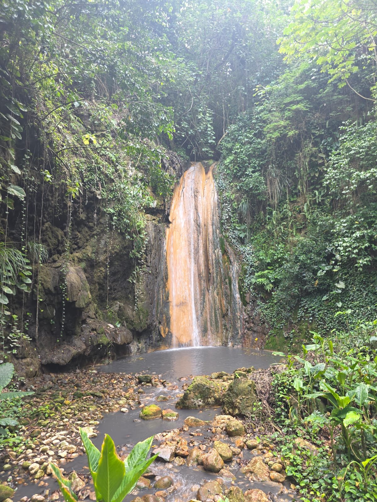 Soufriere Day Tour